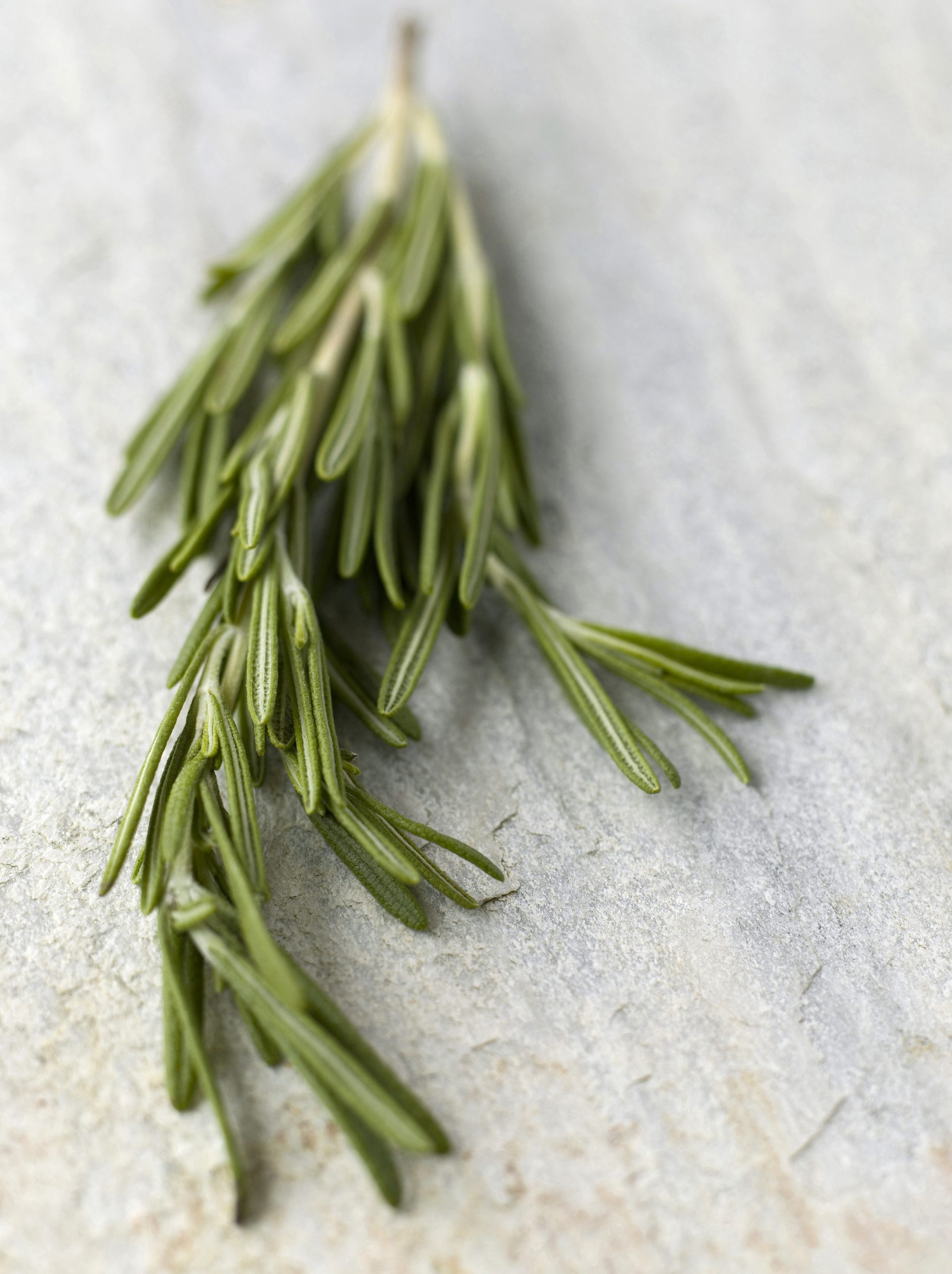 12 Herbs You Need to Have in Your Kitchen — Idea Digezt